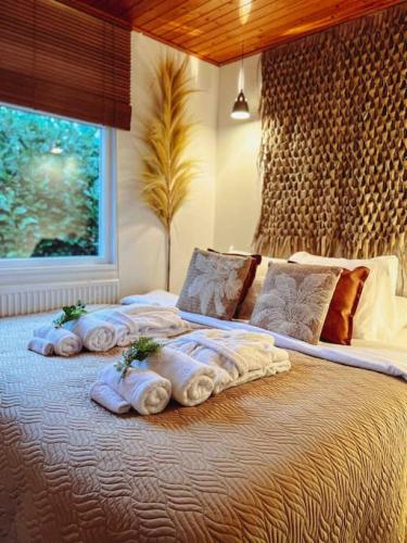 Boshuisje La Casita - Near Wellness & Golf in Oosterhout