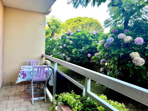 Appartement T2 avec Parking, Proche Plage et Commerces - Bormes-les-Mimosas - FR-1-251-519