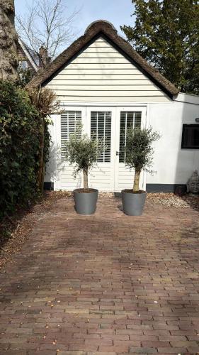 Little Villa Lovely in Boschrand
