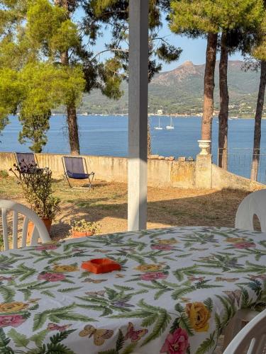 Agriturismo Marroni Anna **