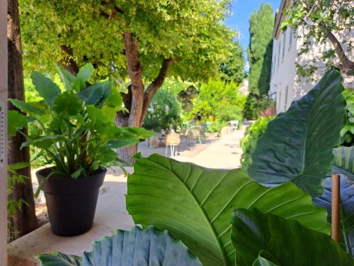 Bastide De Marie Grasse – Grasse, CT