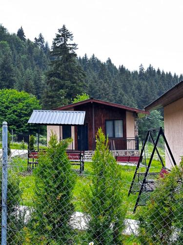 Apkārtne, "Mtis broli 77"-Mzetamze-Borjomi in Kimotesubani