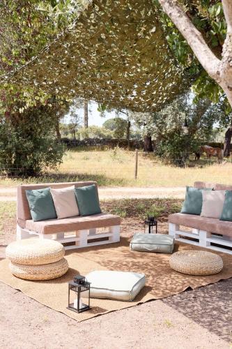 Quinta Dos Ribeiros in Alpalhao