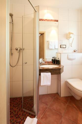 Schneider HOTEL & APARTMENTS ALLERSBERG Room Type - Double Room
