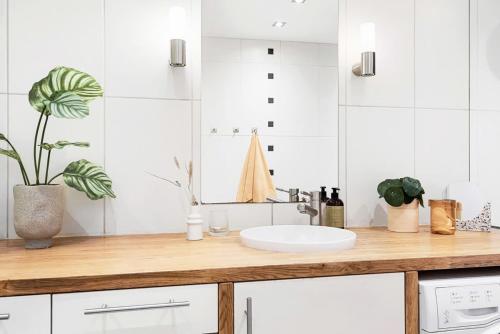Cosy room in shared apartment in the heart of Oslo