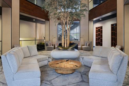 voco Laguna Hills by IHG