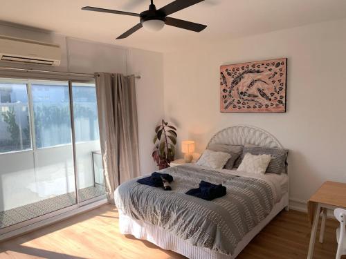 Kangaroo Lodge, Skip to city and kings park 311