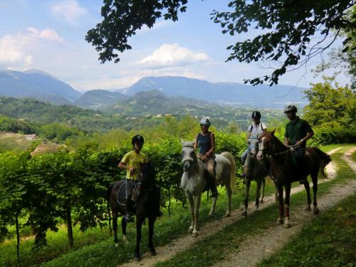Horseback riding, Ca Borgh in San Pietro Di Feletto