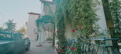 . Hotel i Apartamenty Rosa
