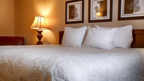 Silver Fox Inn Silver Fox Inn