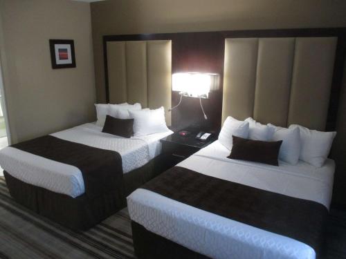 2 queen beds