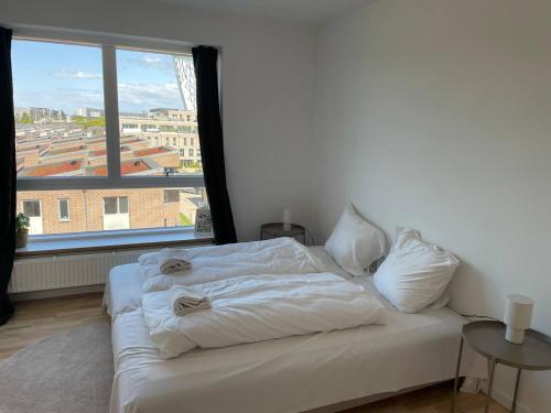 Sky High Amager Views - image 2
