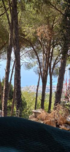 Snawbar glamping in Batroun