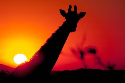 赫里塔奇住宿加早餐旅馆 赫里塔奇住宿加早餐旅馆