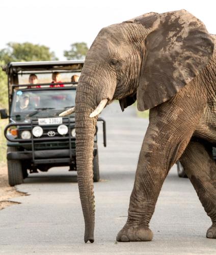 赫里塔奇住宿加早餐旅馆 赫里塔奇住宿加早餐旅馆