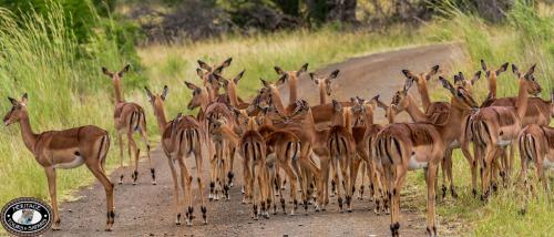赫里塔奇住宿加早餐旅馆 赫里塔奇住宿加早餐旅馆