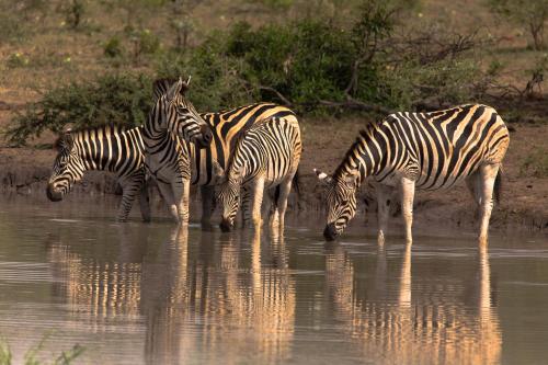 赫里塔奇住宿加早餐旅馆 赫里塔奇住宿加早餐旅馆