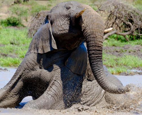 赫里塔奇住宿加早餐旅馆 赫里塔奇住宿加早餐旅馆