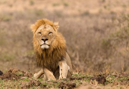 赫里塔奇住宿加早餐旅馆 赫里塔奇住宿加早餐旅馆