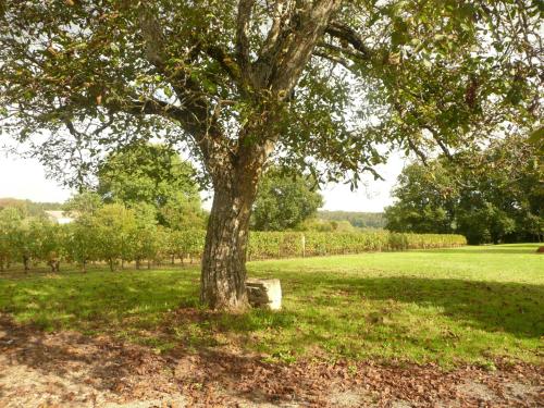 Attractions, Galot La Chapelle in Gardegan-et-Tourtirac
