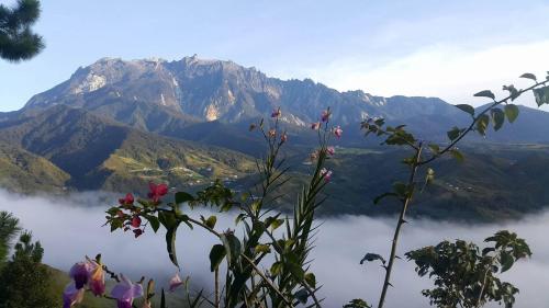Viesnīcas āriene, Crystal Hill R in Kinabalu Nacionālais parks