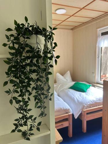 Einfaches Ferienhaus mit Garten und ursprünglichem Retro-Charakter in Schöneiche bei Berlin in Schöneiche, Deutschland