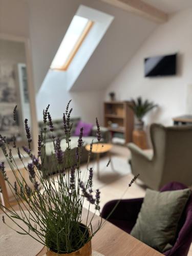 Iekārtas, Apartament Lawendowe Zdroje in Barczyzna