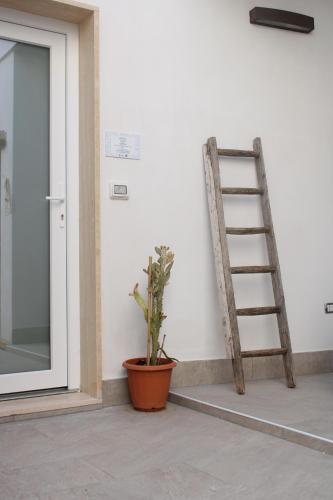 IsaBi suite