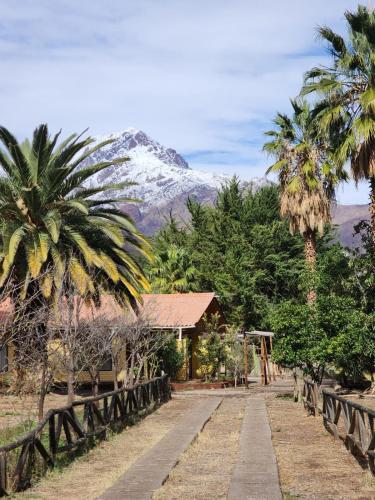 A környék, Valle del Elqui, La Campana, Departamento in Vicuna