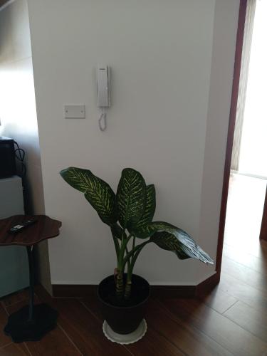 Urkudescanso
