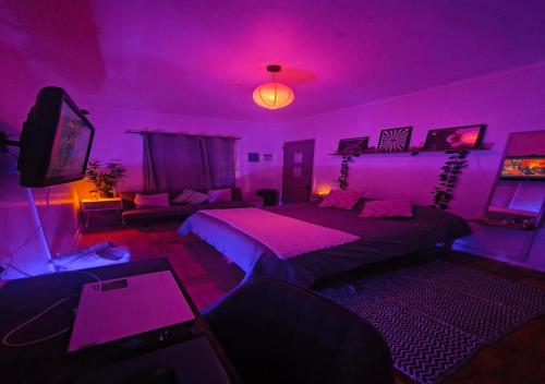 Casa Tribu - image 5
