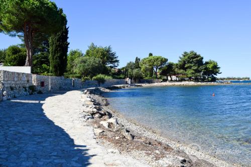 المنطقة المحيطة, Guest House Mareda Palms in Mareda