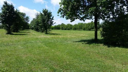 Agriturismo Scacchiera