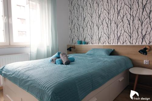 Apartament nad Odrą 1