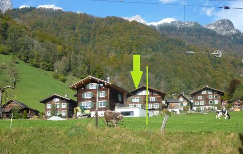 Viesnīcas āriene, Mattishüüsli - Chalet with a little garden (Mattishuusli - Chalet with a little garden) in Rüti (Glarus)