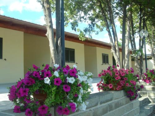 Hotel Samarcanda Hotel de charme Aurelia
