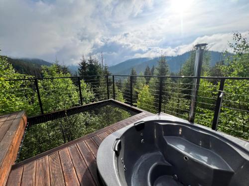 Noir 256 chalet with its own swimming pool, hot tub, and sauna in Voronenko