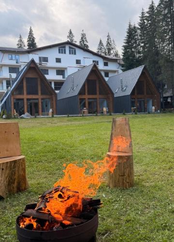 Chalets by Hotel Transalpin in Obârşia Lotrului
