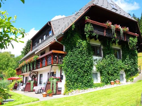 B&B Menzenschwand - Haus Schäfer - Bed and Breakfast Menzenschwand