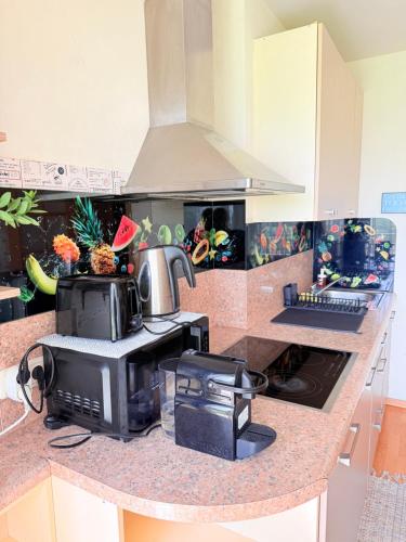 Apartment Saharova in Plavnieki