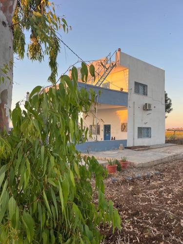 Beit Philodemus 2 - IRIS in Al-Himmah Al-Ordonyah