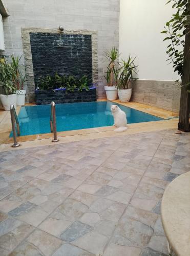 Villa Harmonie - Suite Familiale avec Piscine in 아인 조라