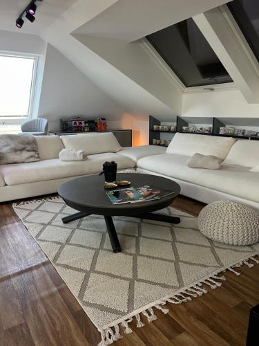 Modern Attic Loft in Weisenheim am Sand