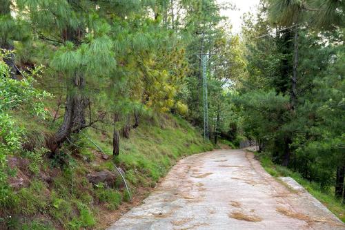 Çevredekiler, Canopy Court Farmhouse Murree in Bhurban