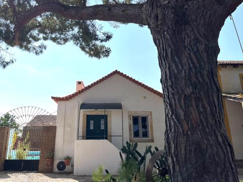 Viesnīcas āriene, Quinta da Burra in Kartakso