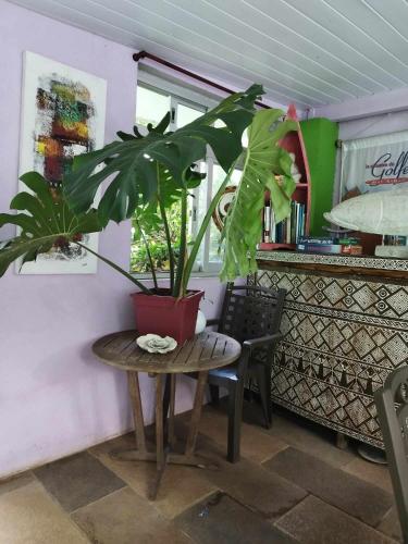 Banian Camping petit déjeuner offert (Banian Camping petit dejeuner offert) in ฟานุย