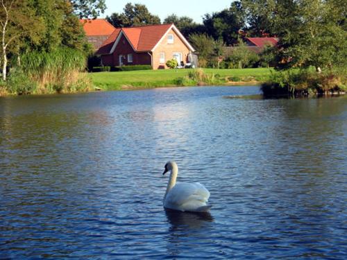 Pension am Birkensee