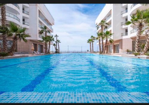 Ob property in 신디바드