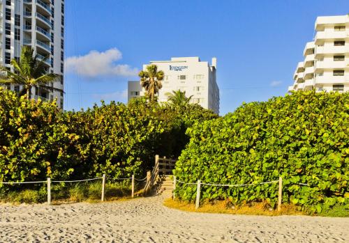 Lexington Hotel Miami Beach