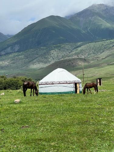 Nomad Yurts in Kyrchyn in Grigorievka